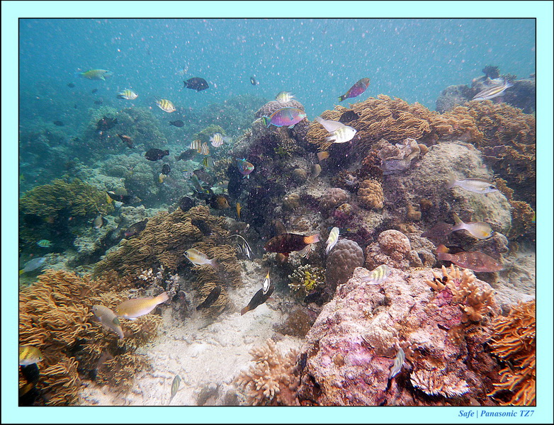 2011 - 08 - Bohey Dulang Island 08